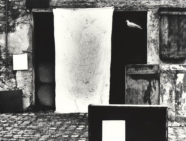 Mario Giacomelli Milano foto in bianco e nero di lenzuolo bianco appeso davanti a una porta e colomba